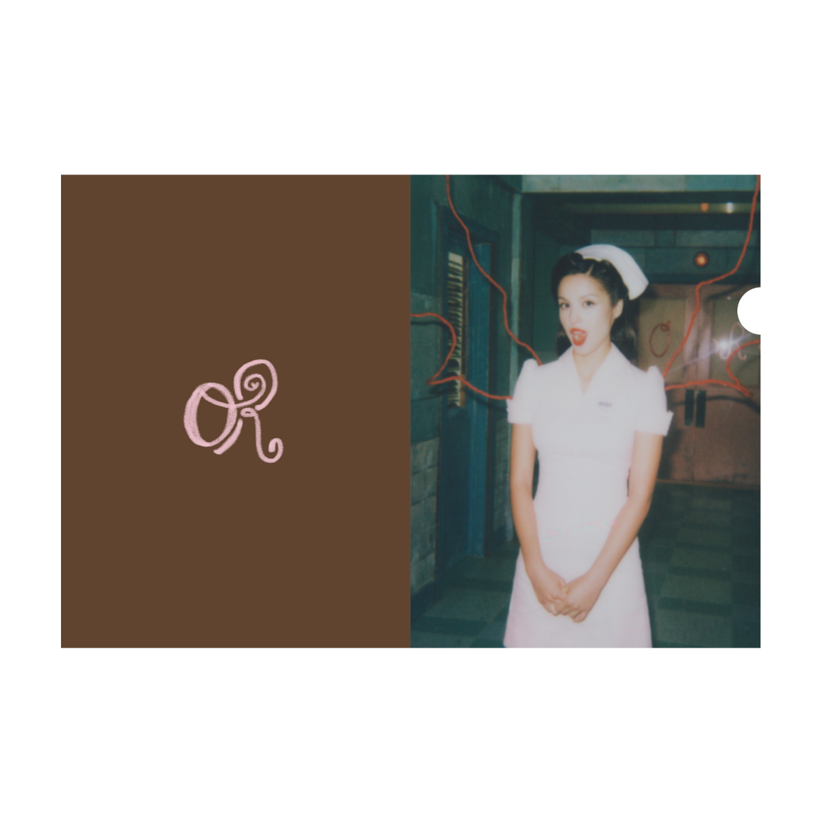 Plastic Folder - Brown (SG Exclusive)